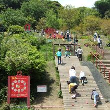 無料の遊具で子供は楽しめます