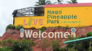 パイナップル生絞りジュースはおいしかった。