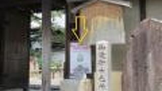 思わず笑顔が出ちゃうのよね