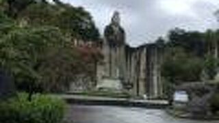 上まで登れます