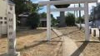 いきなり鳥居が現れます