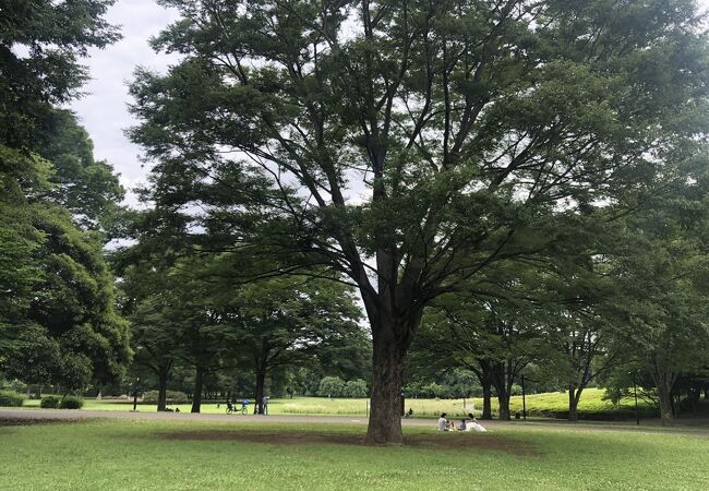 都立小金井公園 クチコミ アクセス 営業時間 国分寺 小金井 フォートラベル