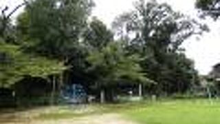 古墳時代最初期の前方後円墳