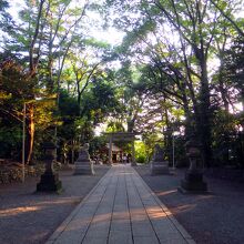 参道 / Road approaching a shrine