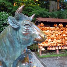 牛の像 / The statue of cow