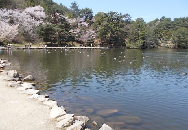 みやま公園 クチコミ アクセス 営業時間 玉野 フォートラベル