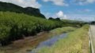 ナガヤマ橋の少し上流