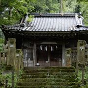 苔むした神社