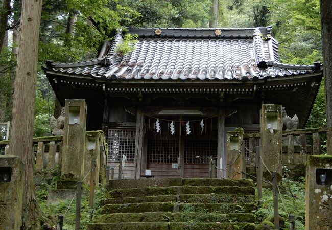 苔むした神社