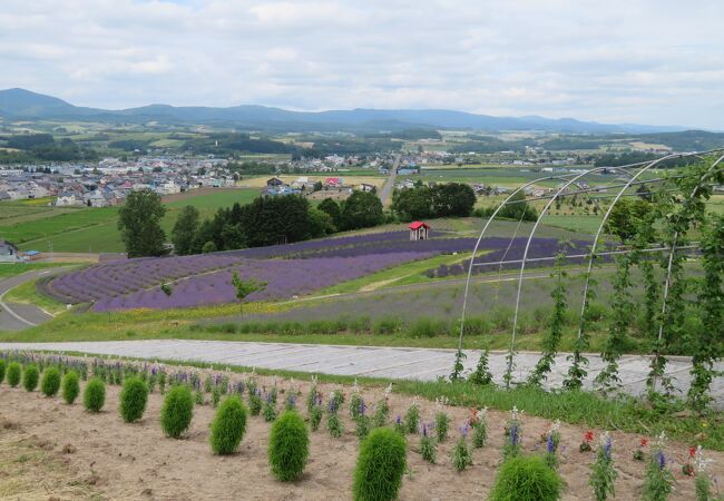 日の出公園ラベンダー園 クチコミ アクセス 営業時間 富良野 フォートラベル 日の出公園ラベンダー園 クチコミ アクセス 営業時間 富良野 フォートラベル