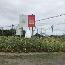 小川農場