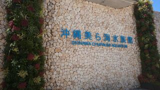 ジンベイ鮫水槽が凄い