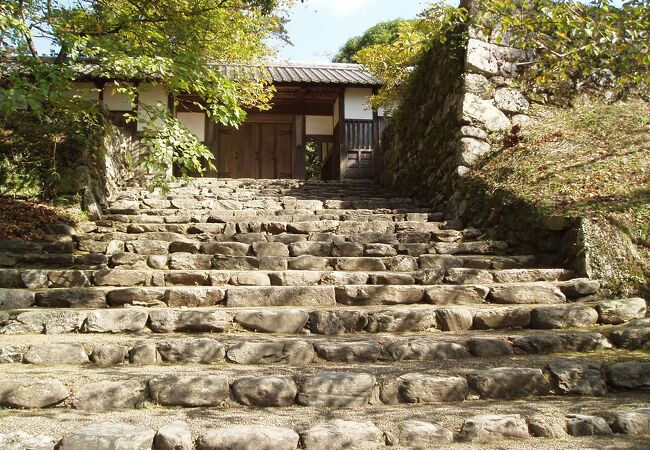 朝倉 甘木 小郡のおすすめ観光スポット クチコミ人気ランキングtop フォートラベル 福岡県 朝倉 甘木 小郡のおすすめ観光スポット クチコミ人気ランキングtop フォートラベル 福岡県