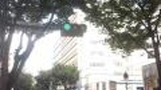 紅葉にはまだ早かった