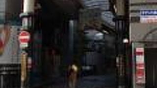 お初の顔が目印