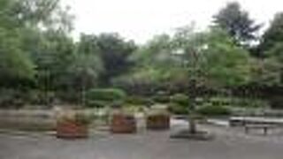 都市公園でした