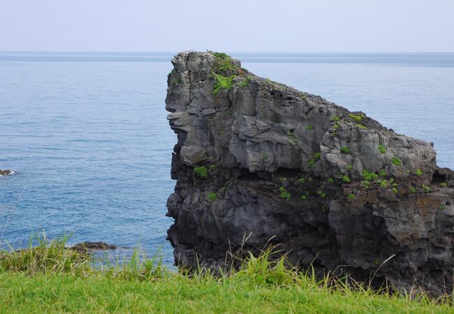 ゴリラに見えなくもないわね