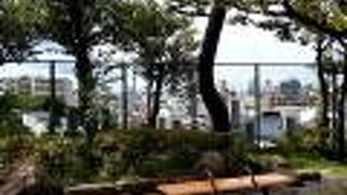 すごく見晴らしがよくて、気持ちのいい公園でした。