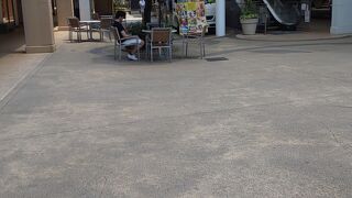 コストコとはしごも！