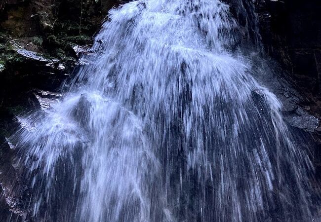 魚留の滝