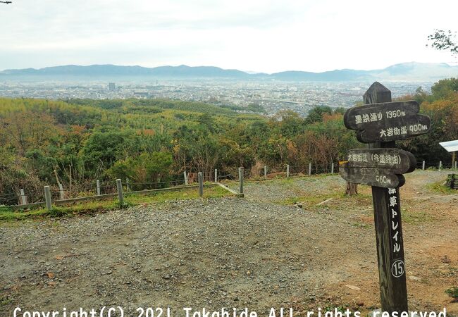 伏見・深草ルートの最高地点