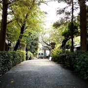 安藤坂に面して、歴史ある雰囲気の門がありました
