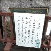 すごく雰囲気のいいお寺でした。