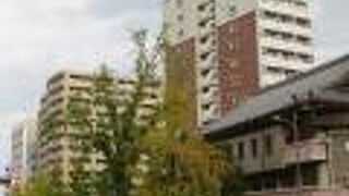 重要文化財です