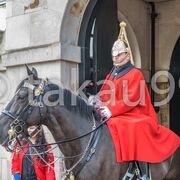 ヨーロッパ各国に宮殿などを警護する衛兵はいますが、多くは歩兵で馬に乗っている騎馬衛兵さんは割と珍しいです。