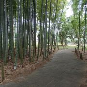 東京城探訪(4)で竹の子公園に行きました