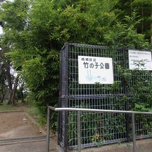 竹の子公園入口