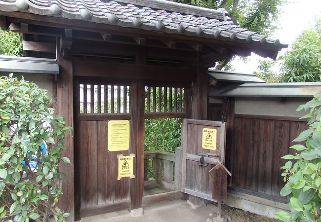東京城探訪(4)で薬師の泉庭園に行きました