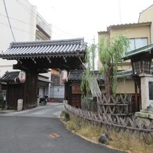 柳がいい雰囲気です