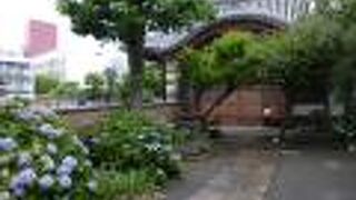 紫陽花の花が美しかったです