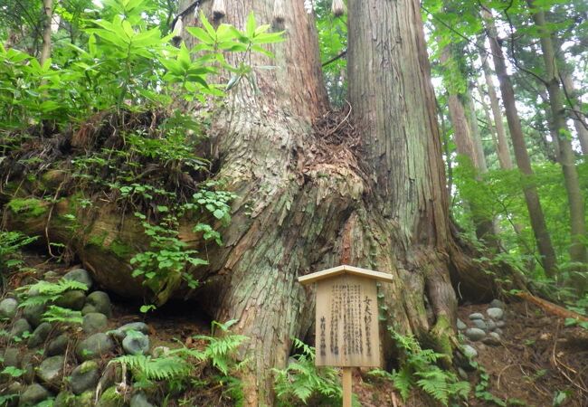 抱擁すれば子どもが授かるそう