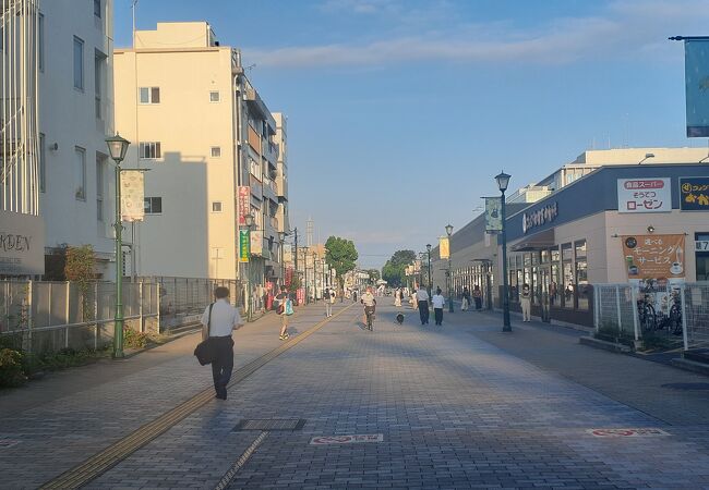 かつて相模鉄道の線路のあったところ