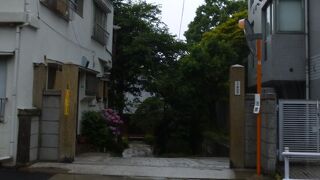 参道に咲く紫陽花が印象的でした