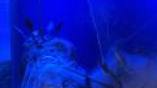 海洋科技博物館