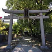 脇の道から東京タワーが見える絶景スポット