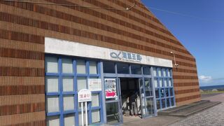 鮮魚も売っています