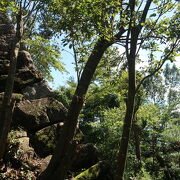 石垣のみが残る、八幡山城 ♪