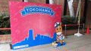 平戸桜木桜木道路の西側に並行して走っている短い通り