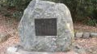 初めて見た作者でした