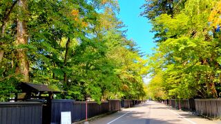 寺社通りでなく武家屋敷通りなので、小京都のイメージとは少し違うかもしれません