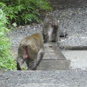 あいにくの雨