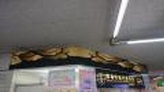 市内の公園のパンフレットを入手