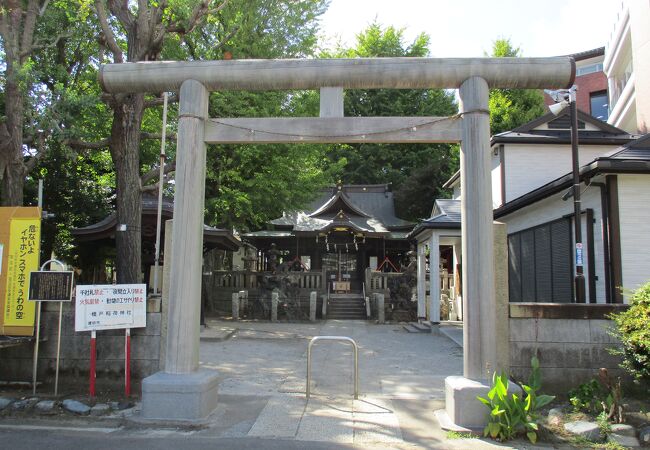 伊豆長八のコテ絵が残されている神社