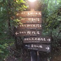 敷地は結構広いので看板が出ている