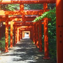 鳥居のアーチ