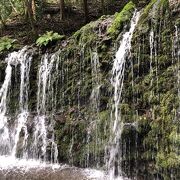 苔むした岩肌がきれい